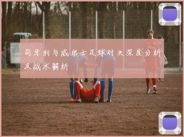 匈牙利与威尔士足球对决深度分析及战术解析